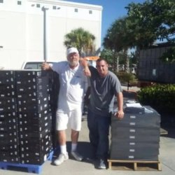 Computer Repair and Optimization